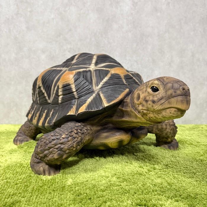 WOOBIA（ウービア） 置物 動物 ホシガメ 特大 亀グッズ 体長68cm
