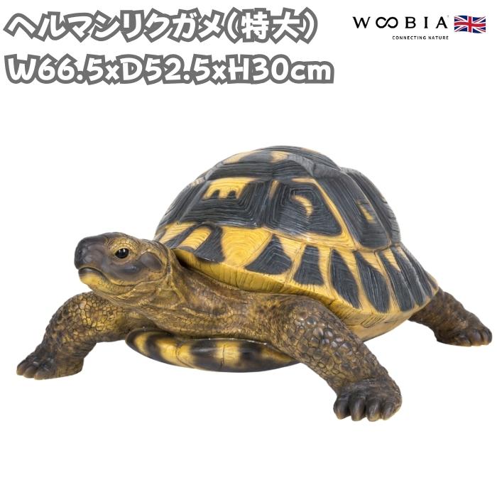 置物 動物 ヘルマンリクガメ 特大 亀グッズ 高さ30cm woobia おしゃれ 大きい 玄関インテリア 庭 ガーデン かわいいオブジェ 北欧 リアル 大型 面白い ウービア | 