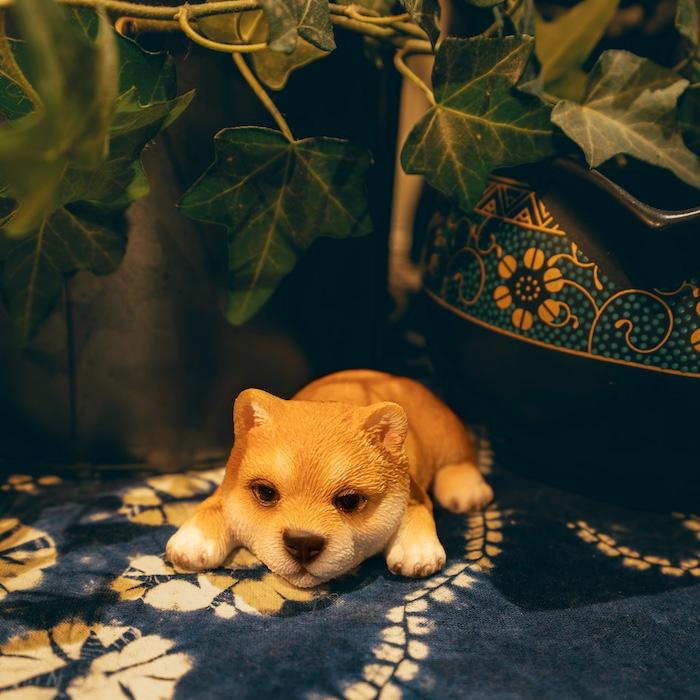 置物 犬 かわいい 動物 玄関 うつぶせ柴犬 グッズ おしゃれ インテリア 卓上 ガーデン 庭 woobia ウービア |  | 08