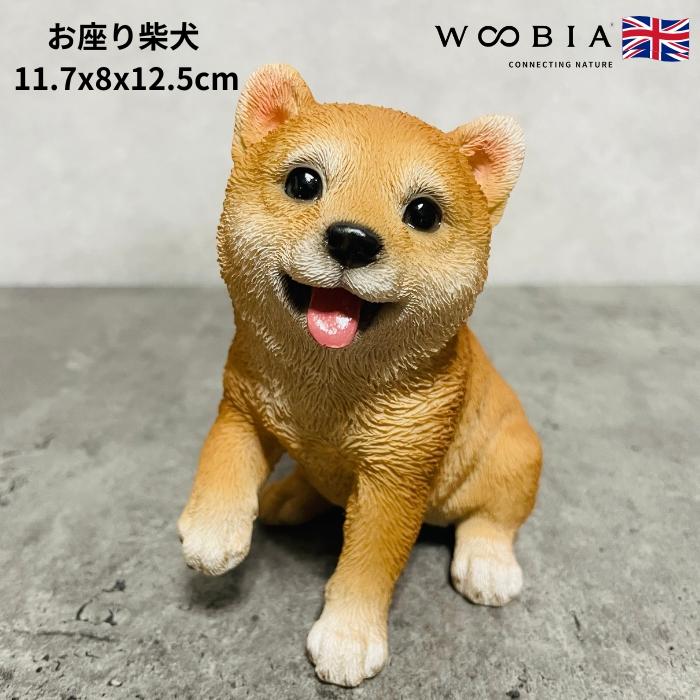 置物 犬 かわいい 動物 玄関 見上げるお座り柴犬 おしゃれ インテリア 卓上 ガーデン 庭 woobia ウービア | 