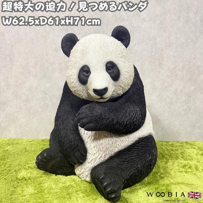 011551  天然黒曜石パンダ置き物、23.1＊39.3ミリ Amazon.co.jp: 黒いカラスの置物、家の装飾のためのカラスの彫像