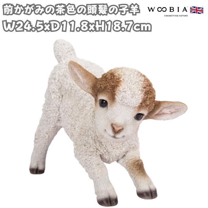 置物 動物 前かがみの茶色の頭髪の子羊 横幅24.5cm グッズ woobia