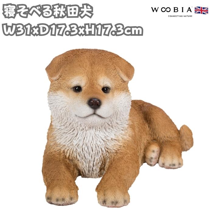 置物 犬 動物 寝そべる秋田犬 横幅31cm woobia おしゃれ 大きい 玄関