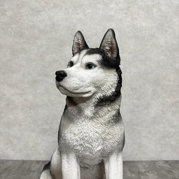 犬 置物 大型 かわいい 動物 玄関 お座りシベリアンハスキー 高さ50cm