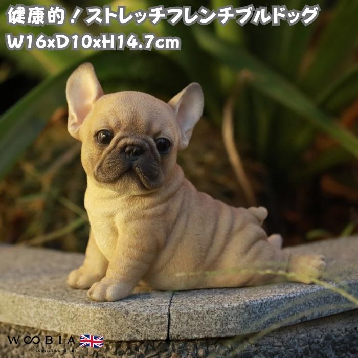 置物 犬 かわいい 動物 玄関 フレンチ・ブルドッグ ストレッチ