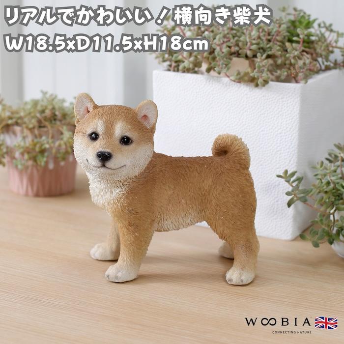 置物 犬 かわいい 動物 玄関 横向き柴犬 イヌ アニマル おしゃれ インテリア ガーデンオーナメント woobia ウービア | 