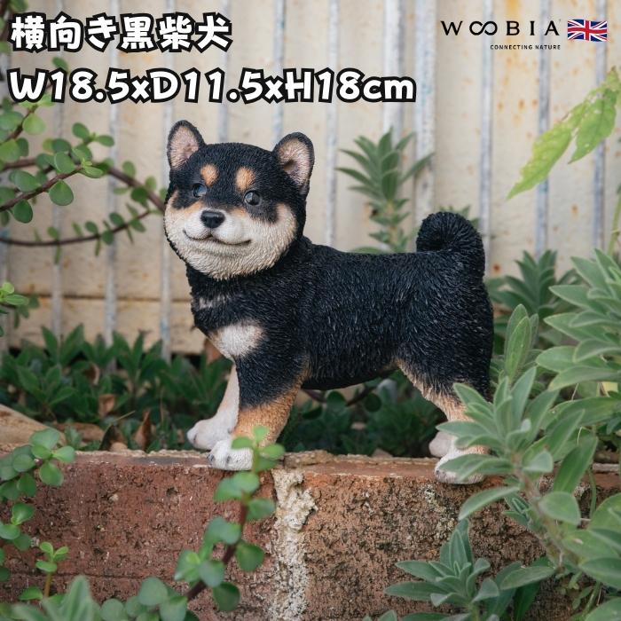 置物 犬 かわいい 動物 玄関 歩く黒柴犬 横幅18.5cm グッズ おしゃれ