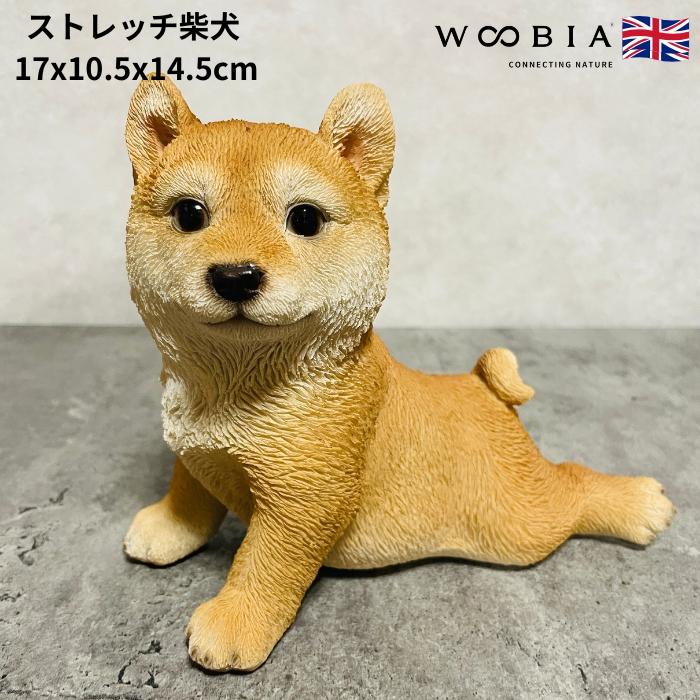 置物 犬 かわいい 動物 玄関 ストレッチ柴犬 グッズ おしゃれ インテリア 卓上 ガーデン 庭 woobia ウービア | 
