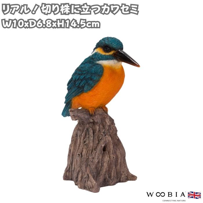 置物 鳥 カワセミ 高さ14.5cm woobia ウービア 野鳥 リアル おしゃれ 玄関 インテリア オブジェ ガーデン 北欧 ナチュラル 翡翠 動物 | WOOBIA