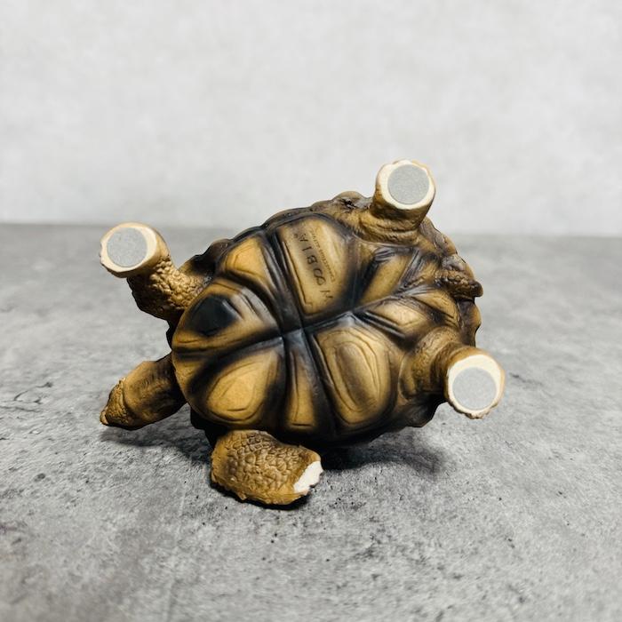 WOOBIA（ウービア） 置物 かわいい 動物 玄関 亀の置物 ホシガメ 小