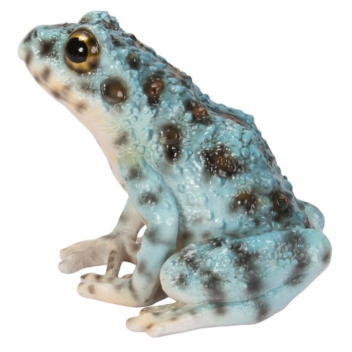 WOOBIA（ウービア） カエル 置物 かわいい イシカワガエル ブルー 蛙