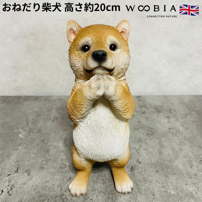 WOOBIA（ウービア） 置物 犬 高さ20.5cm かわいい 動物 玄関 おねだり