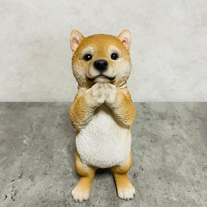 置物 犬 高さ20.5cm かわいい 動物 玄関 おねだり柴犬 グッズ おしゃれ インテリア 卓上 ガーデン 庭 woobia ウービア | WOOBIA | 02
