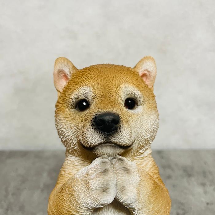 置物 犬 高さ20.5cm かわいい 動物 玄関 おねだり柴犬 グッズ おしゃれ インテリア 卓上 ガーデン 庭 woobia ウービア | WOOBIA | 04