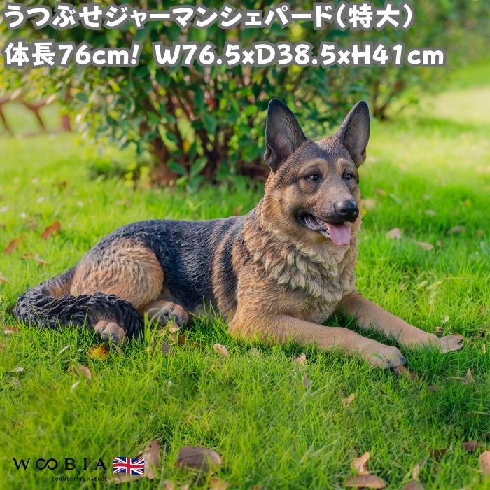 犬 置物 大型 動物 うつぶせジャーマンシェパード かわいい 高さ30cm