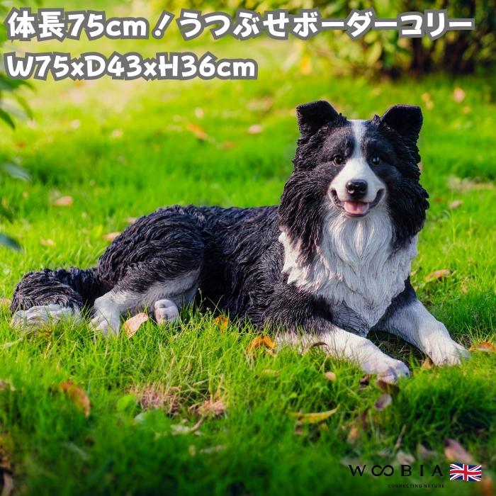 犬　決まりました置物　実物大　コリー 犬 置物 大型 動物 うつぶせボーダーコリー かわいい 横幅75cm