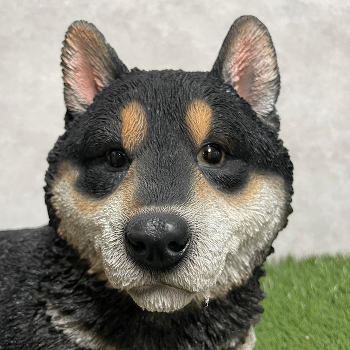 犬 置物 大型 動物 リラックス黒柴犬 グッズ 横幅56cm woobia おしゃれ