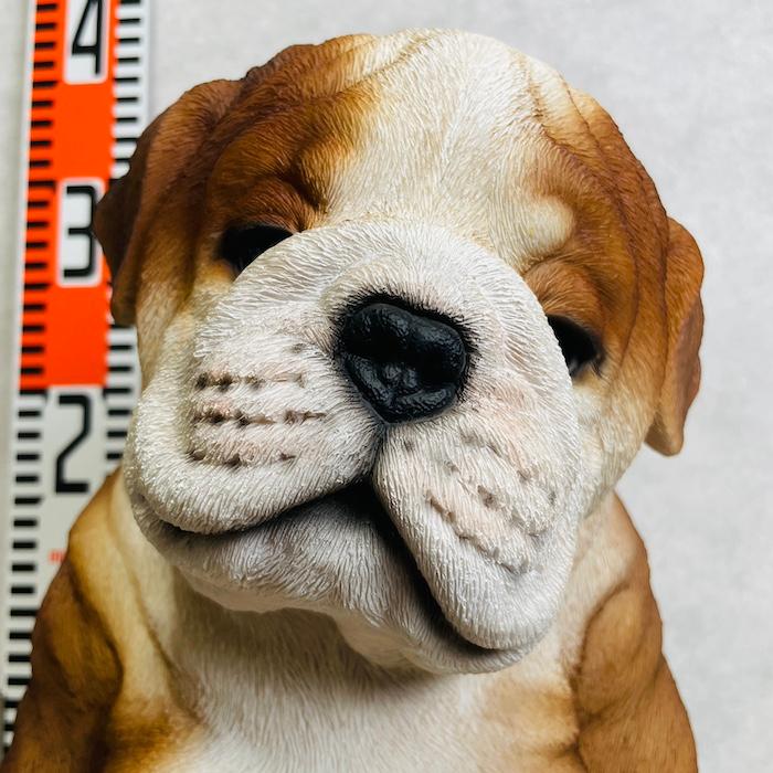置物 犬 かわいい 高さ28.5cm 動物 玄関 居眠りするブルドッグ 中 おしゃれ インテリア ガーデンオーナメント  woobia ウービア |  | 01