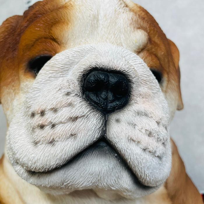 置物 犬 かわいい 高さ28.5cm 動物 玄関 居眠りするブルドッグ 中 おしゃれ インテリア ガーデンオーナメント  woobia ウービア |  | 08