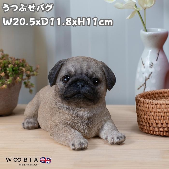 置物 犬 かわいい 動物 玄関 うつぶせパグ 横幅20.5cm リアル インテリア ガーデンオーナメント woobia ウービア | 