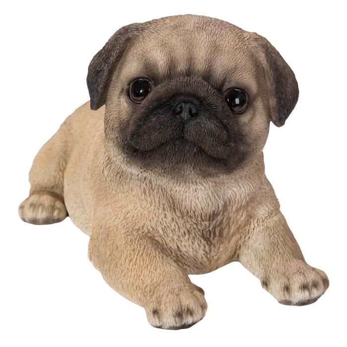 置物 犬 かわいい 動物 玄関 うつぶせパグ 横幅20.5cm リアル インテリア ガーデンオーナメント woobia ウービア |  | 01