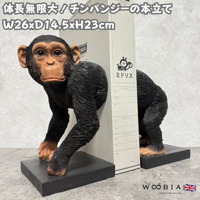 おしゃれなチンパンジーの本立て ブックスタンド ブックエンド 置物 動物 おしゃれ 玄関 インテリア  woobia ウービア プレゼント ギフト アニマルオブジェ | 