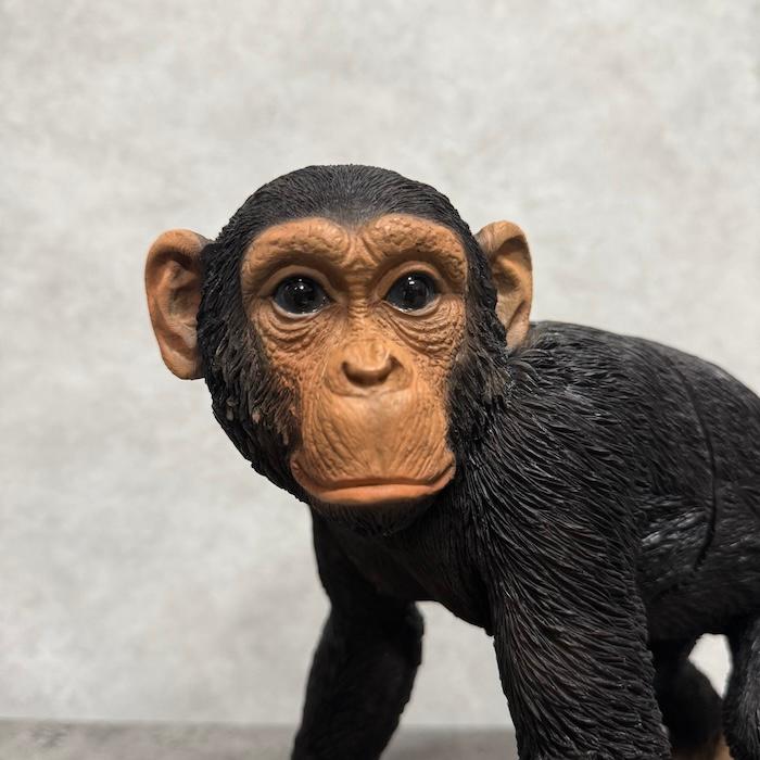 おしゃれなチンパンジーの本立て 横幅26cm ブックスタンド ブックエンド 置物 動物 おしゃれ 玄関 インテリア  woobia ウービア プレゼント アニマルオブジェ |  | 14
