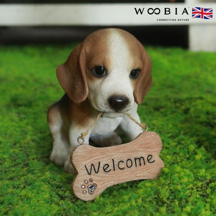 置物 犬 かわいい 動物 玄関 ウェルカムボード ビーグル おしゃれ インテリア 卓上 ガーデン 庭 woobia ウービア | 
