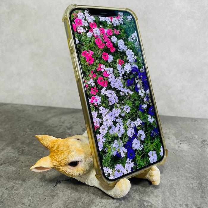 スマホスタンド 卓上 おもしろ 動物 うさぎ 兎 置物 トイレ アニマル かわいい おしゃれ 写真立て スマホホルダー woobia ウービア |  | 01