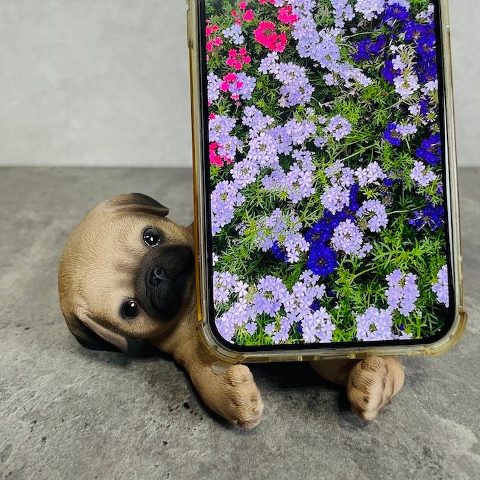スマホスタンド 卓上 犬 おもしろ 動物 パグ イヌ 置物 アニマル かわいい おしゃれ 写真立て スマホホルダー woobia ウービア |  | 02