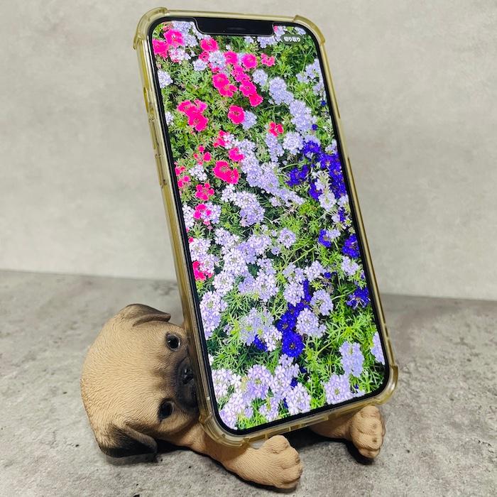 スマホスタンド 卓上 犬 おもしろ 動物 パグ イヌ 置物 アニマル かわいい おしゃれ 写真立て スマホホルダー woobia ウービア |  | 01
