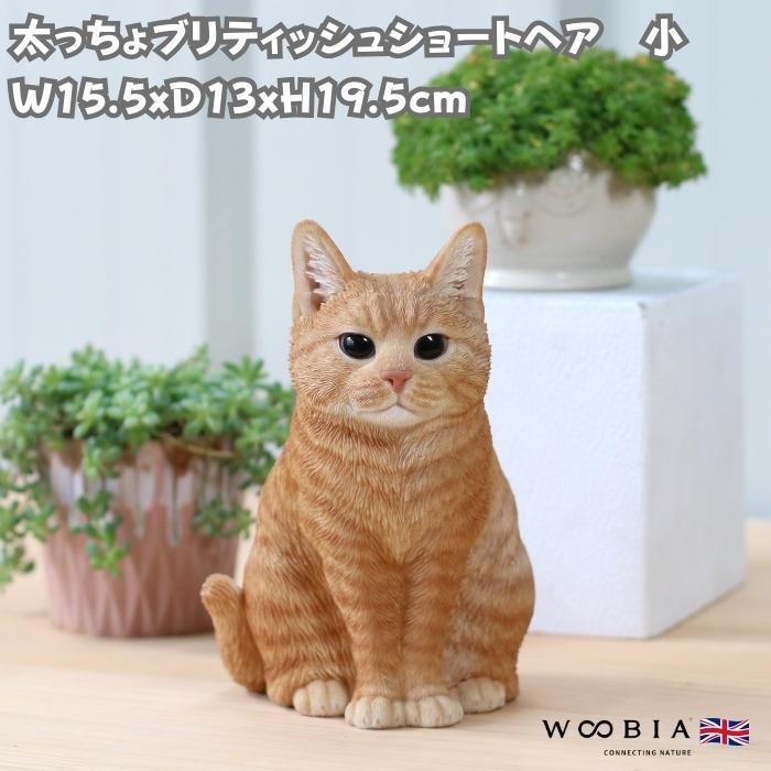 WOOBIA（ウービア） 置物 猫 かわいい 動物 太っちょブリティッシュ