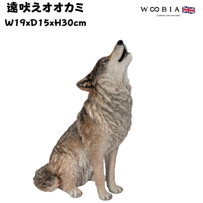 置物 動物 遠吠えオオカミ 高さ30cm woobia おしゃれ 大きい 玄関インテリア 庭 ガーデン かわいいオブジェ 北欧 リアル 大型 面白い ウービア | 