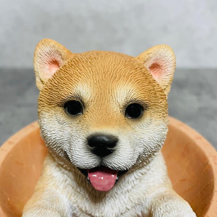 置物 犬 かわいい 動物 玄関 柴犬マグネットクリップ入れ 小物入れ