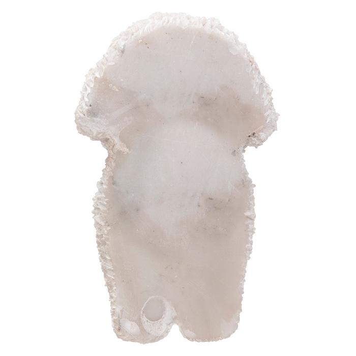 かわいい犬のオブジェ ビションフリーゼのマグネット イヌ おしゃれ 玄関 インテリア 卓上 woobia ウービア |  | 04