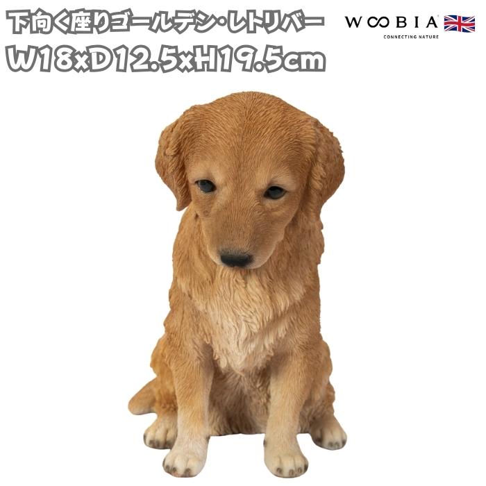 置物 犬 動物 下向く座りゴールデン・レトリバー 高さ19.5cm おしゃれ
