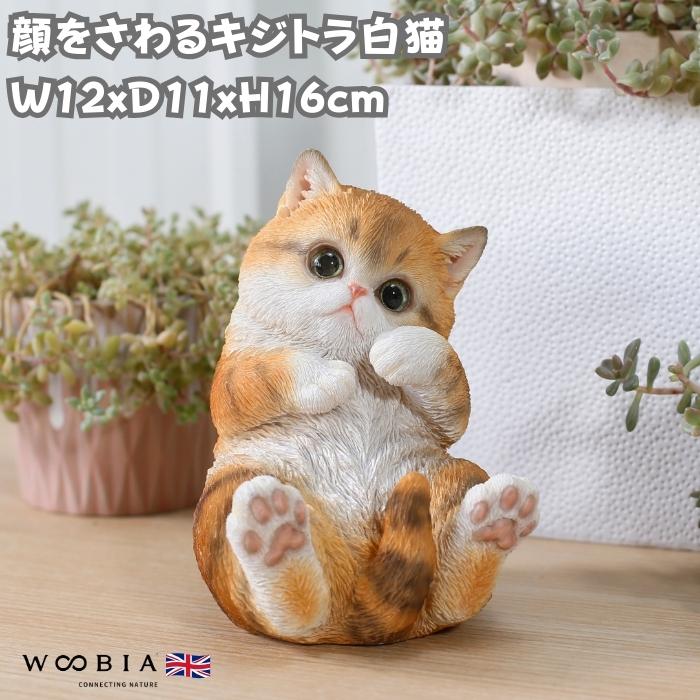 置物 動物 かわいい 顔をさわるキジトラ白猫 ネコ 高さ16cm woobia