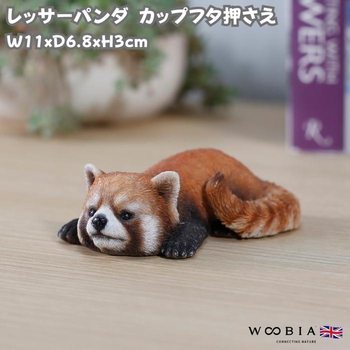 置物 かわいい 動物 玄関 レッサーパンダ カップフタ押さえ おしゃれ