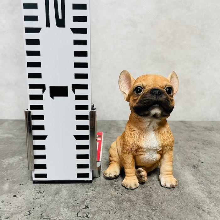 WOOBIA（ウービア） 置物 犬 かわいい 動物 玄関 頭を上げるフレンチ