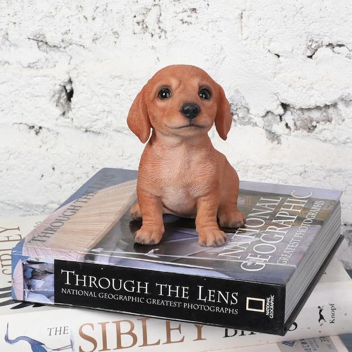 置物 犬 動物 頭を上げるダックスフンド 高さ11cm woobia おしゃれ