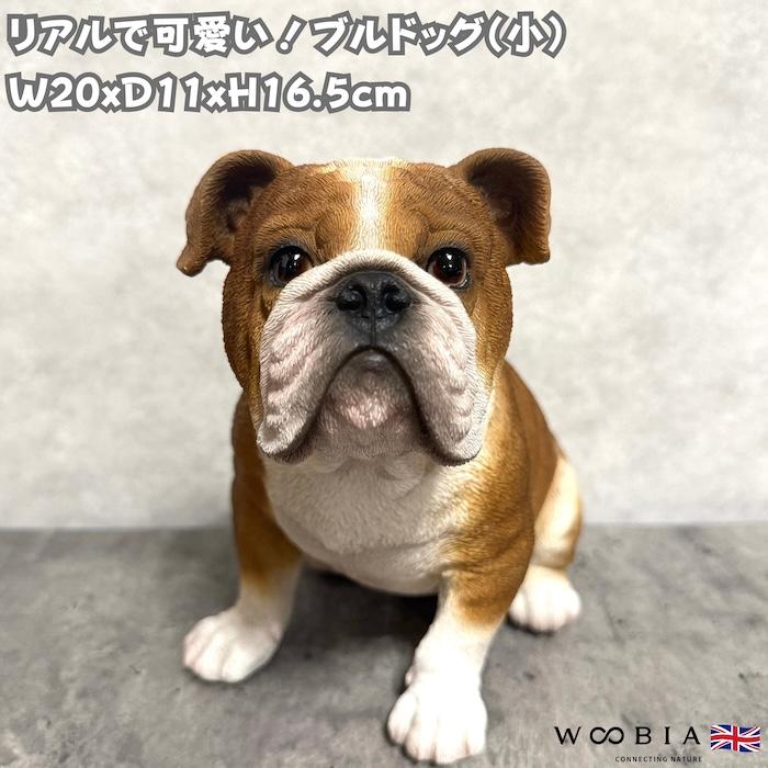 WOOBIA（ウービア） 置物 犬 ブルドッグ 幅20cm woobia リアル