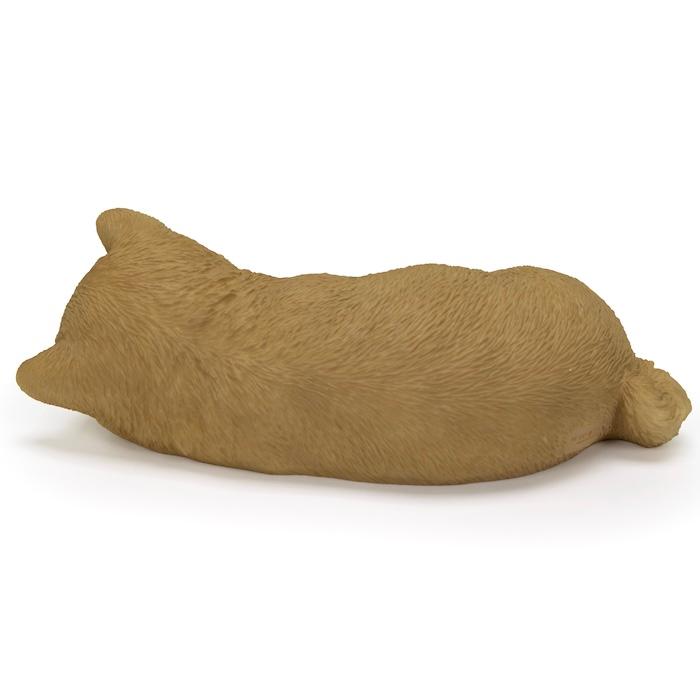 犬 置物 すやすや柴犬 横幅17.5cm WOOBIA リアル 可愛い おしゃれ オブジェ 卓上 インテリア 玄関 ギフト 動物 雑貨 癒し |  | 03