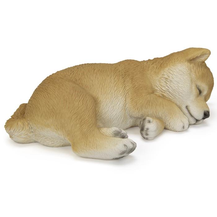 犬 置物 すやすや柴犬 横幅17.5cm WOOBIA リアル 可愛い おしゃれ オブジェ 卓上 インテリア 玄関 ギフト 動物 雑貨 癒し |  | 05