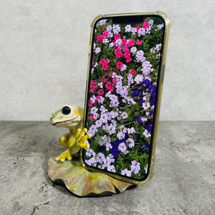 スマホスタンド 卓上 おもしろ 動物 カエル 置物 トイレ アニマル かわいい おしゃれ 写真立て スマホホルダー woobia ウービア |  | 01