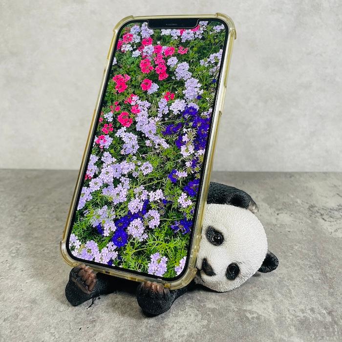 スマホスタンド 卓上 おもしろ 動物 パンダ 置物 トイレ アニマル かわいい おしゃれ 写真立て スマホホルダー woobia ウービア |  | 01