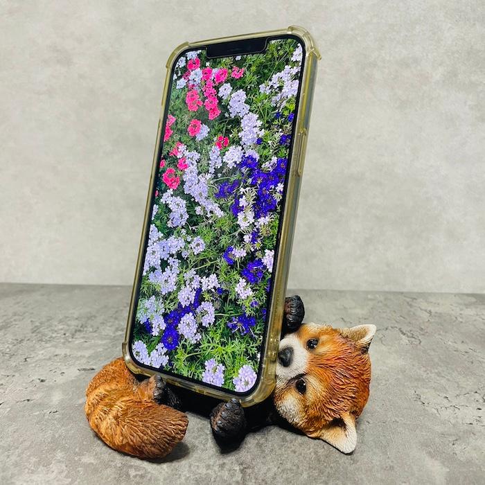 スマホスタンド 卓上 おもしろ 動物 レッサーパンダ 置物 かわいい おしゃれ リアル 写真立て スマホホルダー woobia ウービア |  | 01