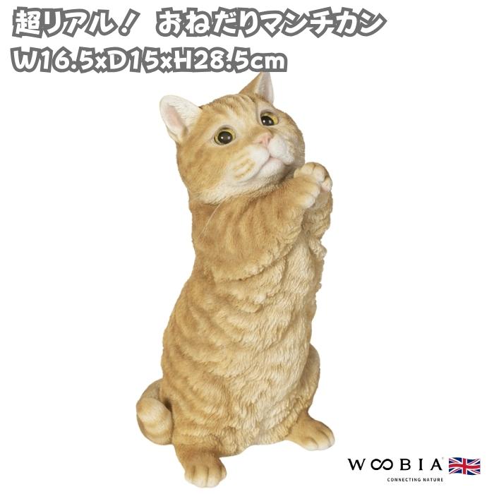 置物 猫 動物 おねだりマンチカン ネコ 高さ28.5cm woobia おしゃれ