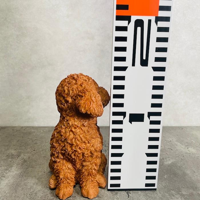 置物 犬 かわいい 動物 玄関 振り返るトイプードル ブラウン おしゃれ