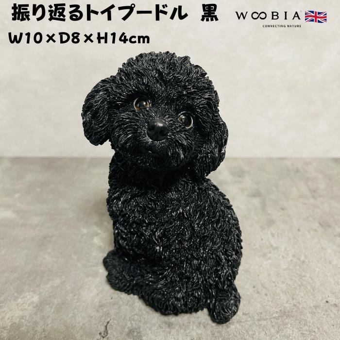 置物 犬 かわいい 動物 玄関 振り返るトイプードル ブラック おしゃれ