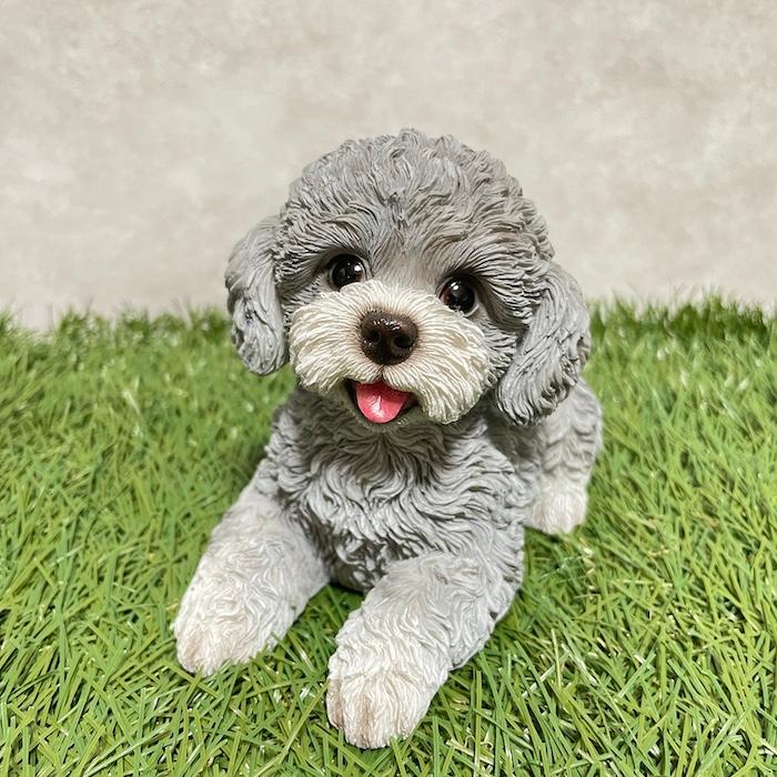置物 犬 かわいい 動物 玄関 見上げるトイプードル グレー おしゃれ